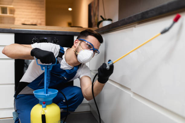 Best Residential Pest Control  in Shenandoah, IA