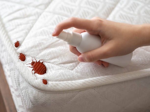 Best Pest Inspection Near Me  in Shenandoah, IA